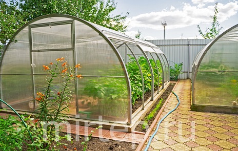 Самые популярные модели теплиц в 2025 году — ТЮЛЬПАН ПРЕМИУМ "АНТИШТОРМ" (Ботаник - Беларусь) — фото