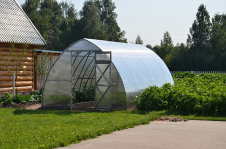 Каплевидные теплицы — Теплица Стрелка 3 (Воля) — фото